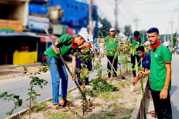Environment & Tree Plantation